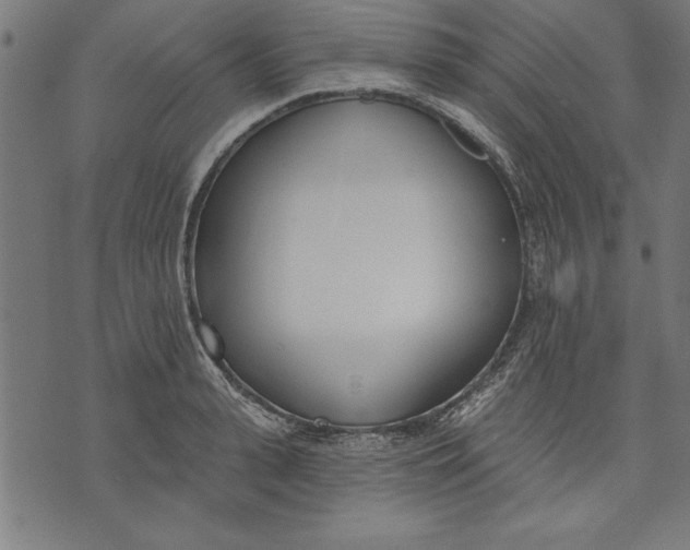 X0000073480943200608211621