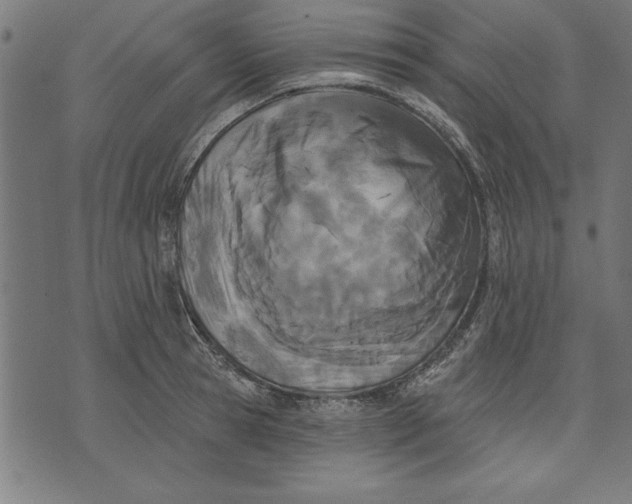 X0000073480945200608211621