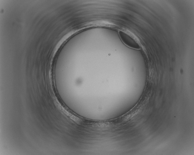 X0000073480947200608211621