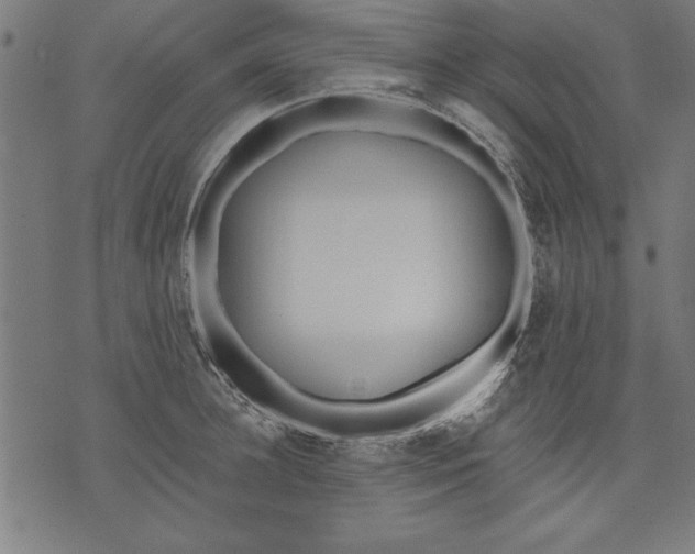 X0000073480948200608211621