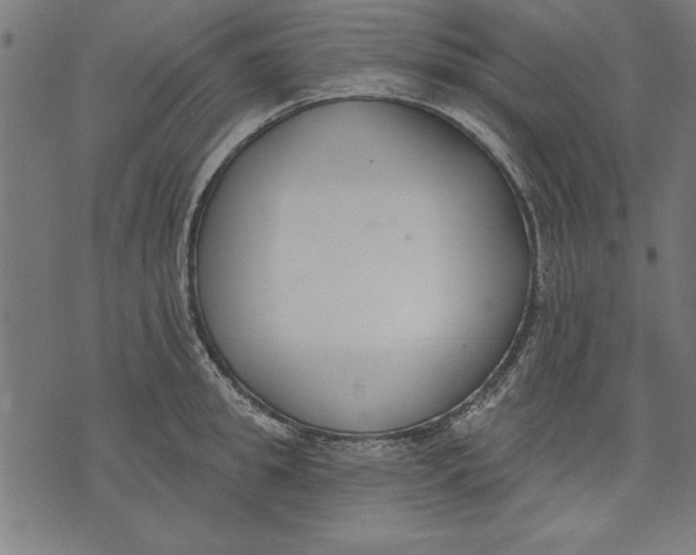 X0000073480949200608211621