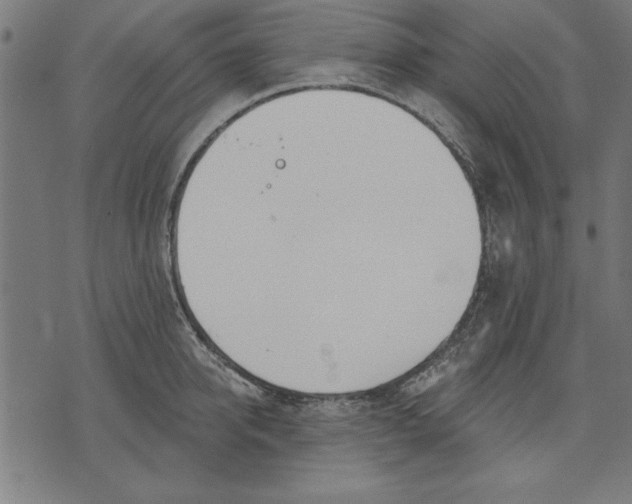 X0000073480950200608211621