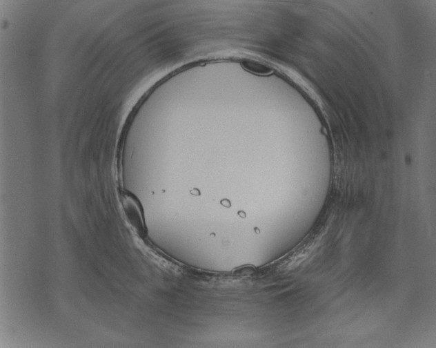 X0000073480951200608211621