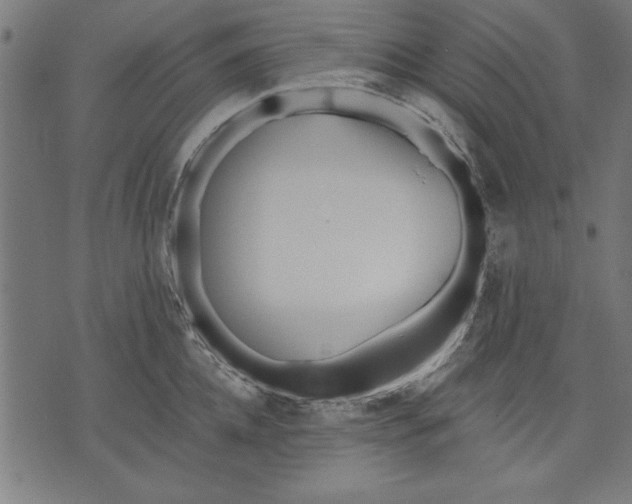 X0000073480952200608211621