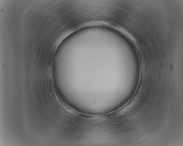 X0000073480953200608211621