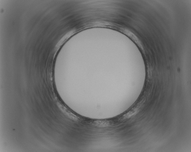 X0000073480954200608211621