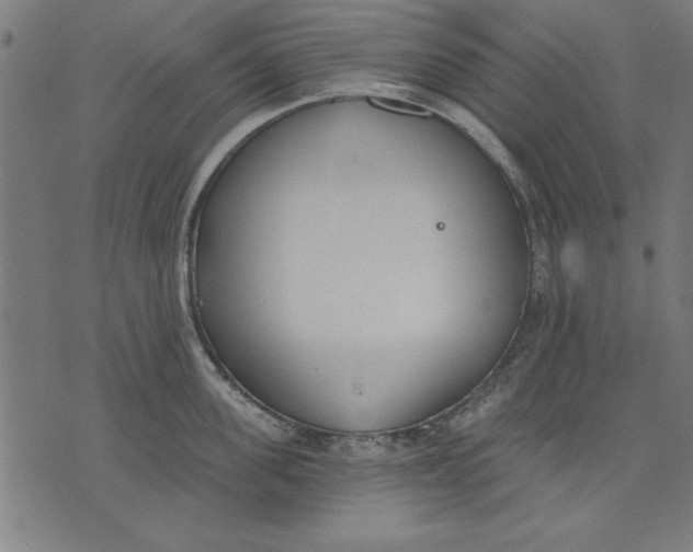 X0000073480955200608211621