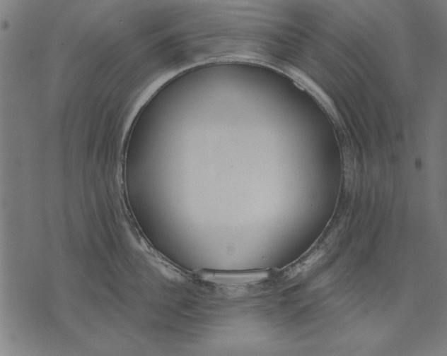 X0000073480956200608211621