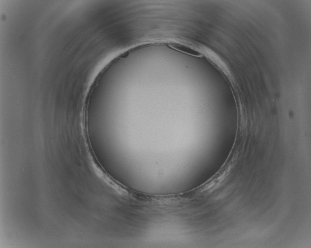 X0000073480958200608211621