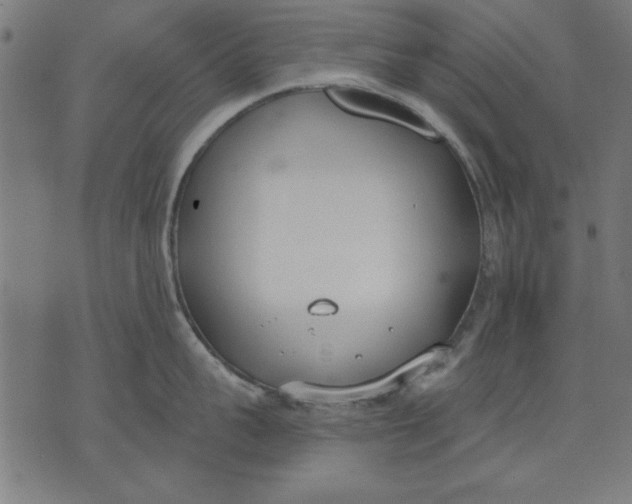 X0000073480959200608211621