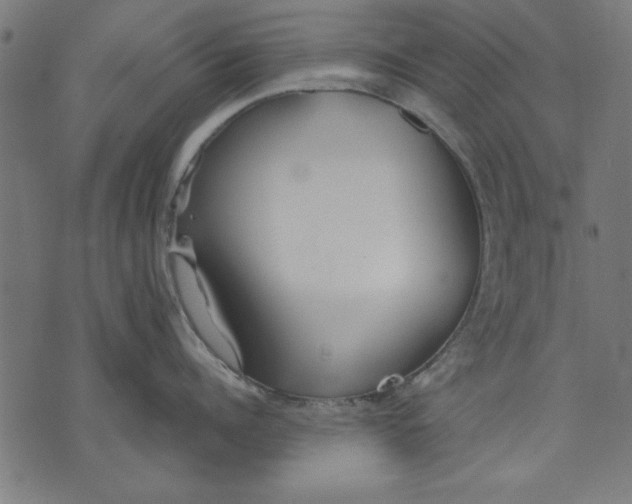 X0000073480960200608211622