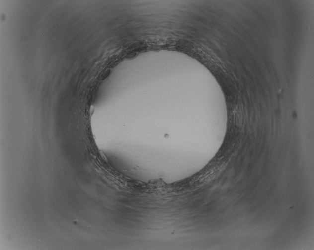 X0000073480961200608211621