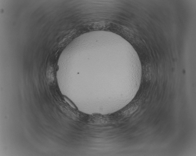 X0000073480962200608211621