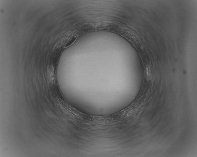 X0000073480963200608211621