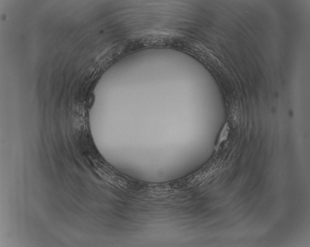 X0000073480964200608211621