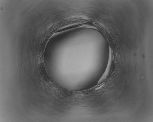 X0000073480965200608211621