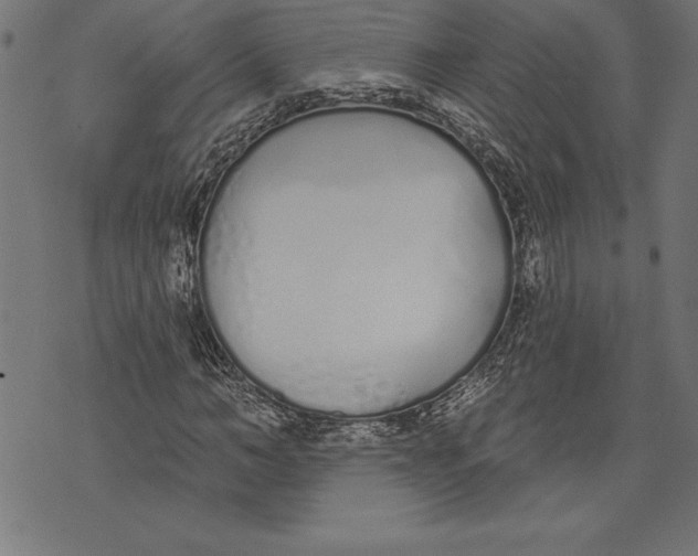 X0000073480966200608211621