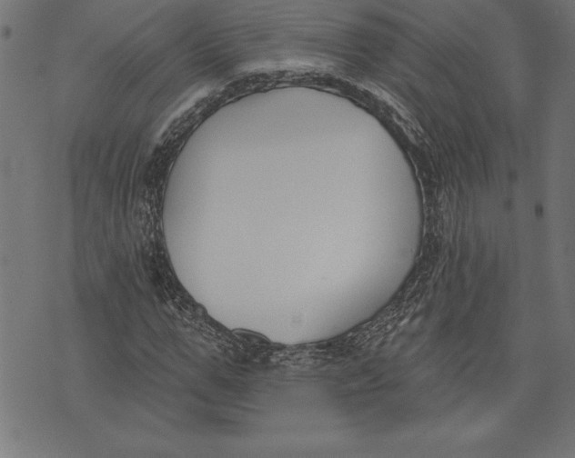 X0000073480967200608211621