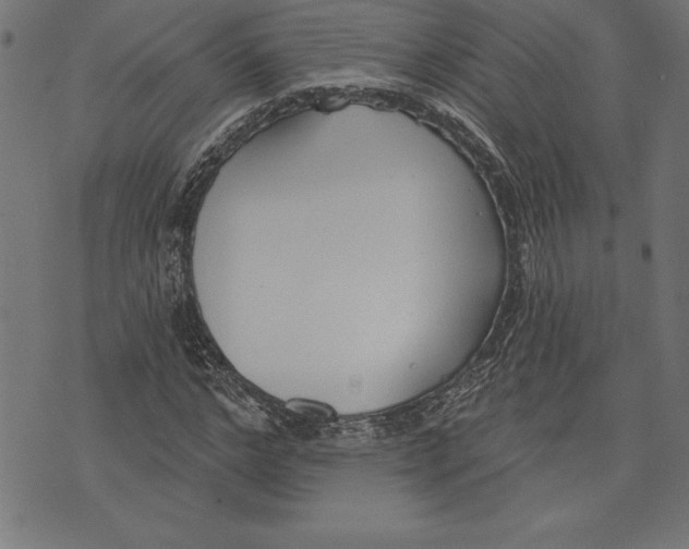 X0000073480968200608211621