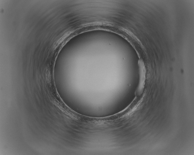 X0000073480969200608211621