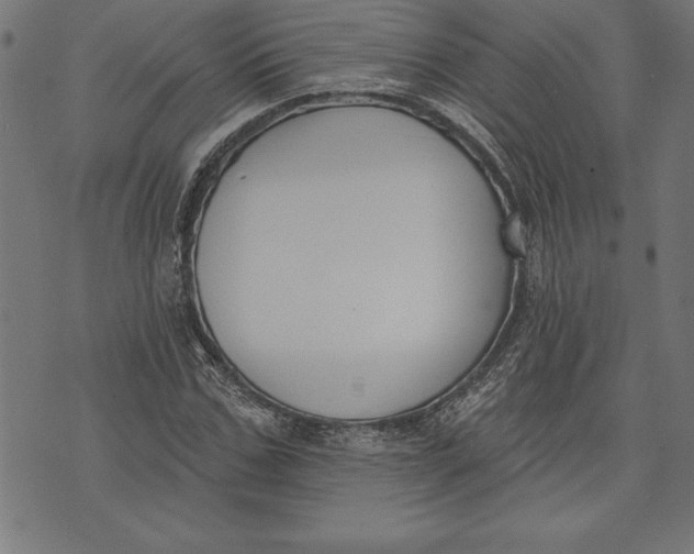 X0000073480971200608211621