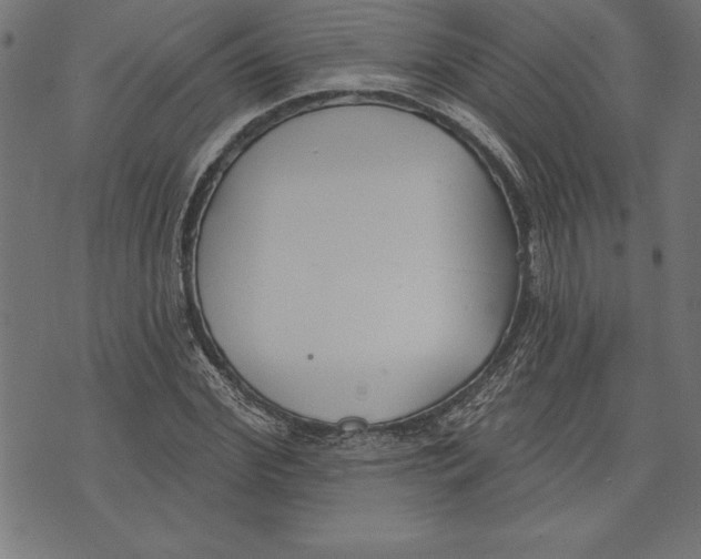 X0000073480972200608211621