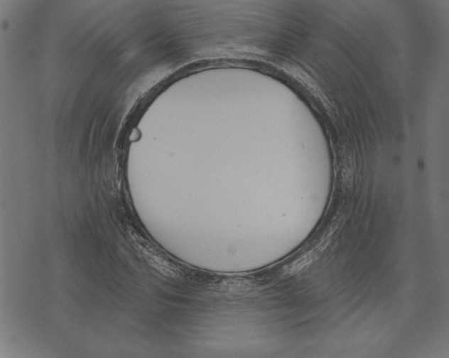 X0000073480974200608211621