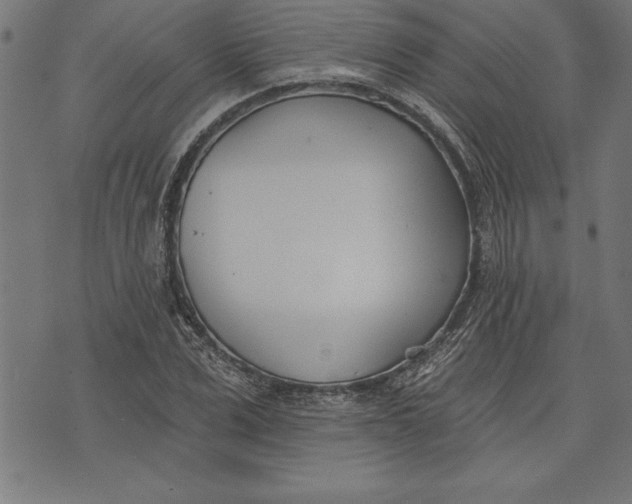 X0000073480975200608211620