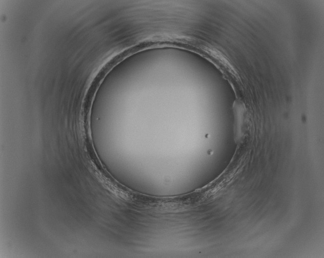 X0000073480976200608211620