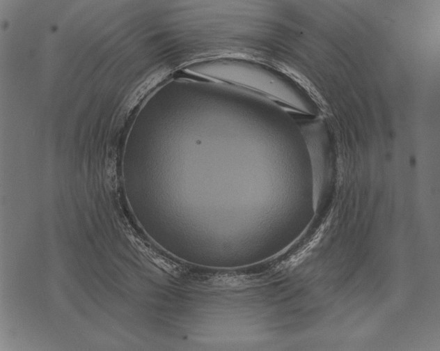 X0000073480977200608211620