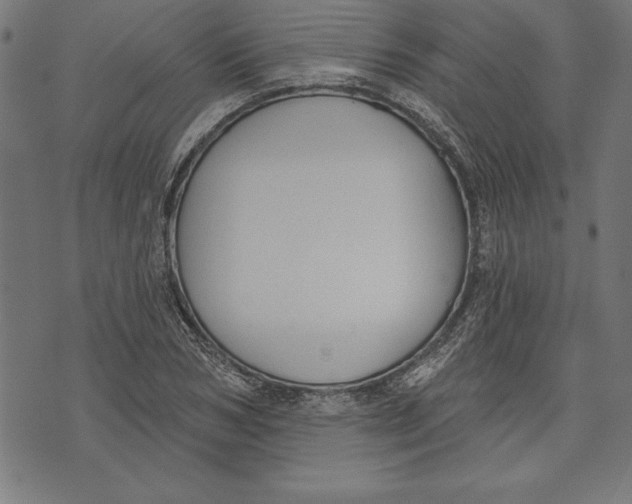 X0000073480978200608211620