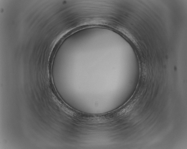 X0000073480980200608211620