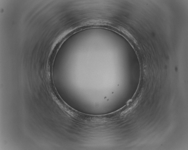 X0000073480981200608211620