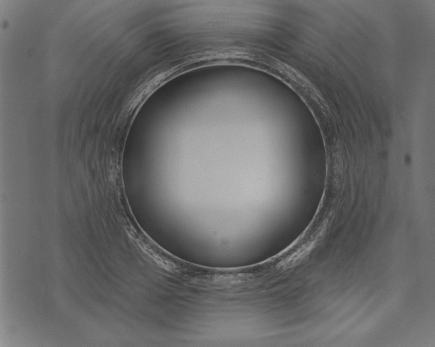 X0000073480985200608211620