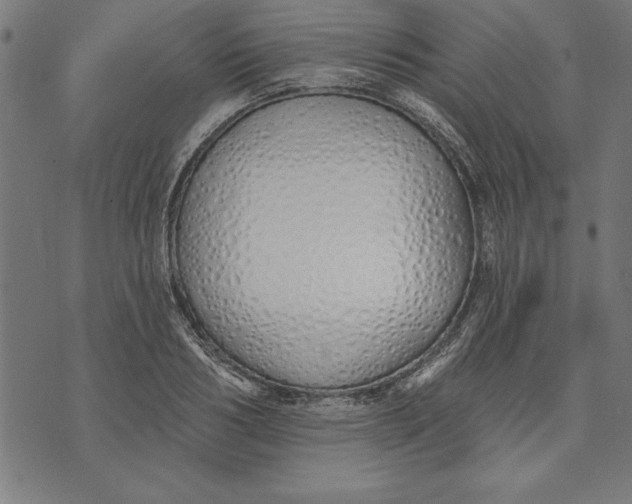 X0000073480986200608211620