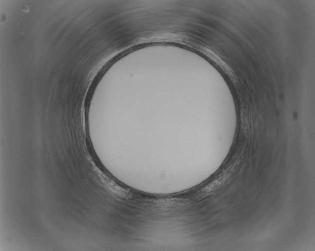 X0000073480988200608211620