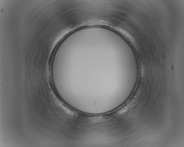 X0000073480990200608211620