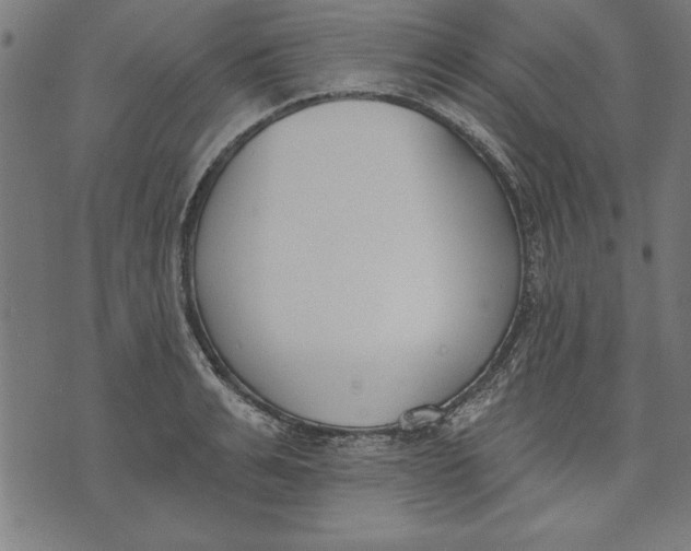 X0000073480991200608211620