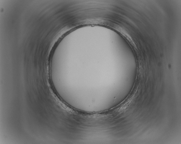 X0000073480992200608211620