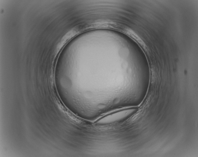 X0000073480994200608211620