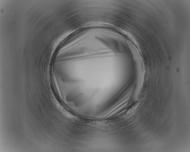 X0000073480995200608211620