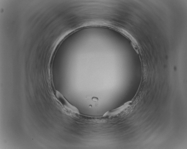 X0000073480996200608211620