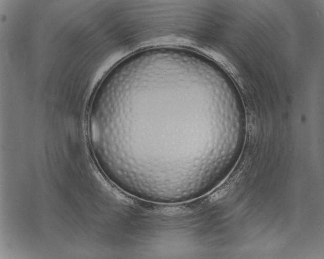 X0000073480998200608211620