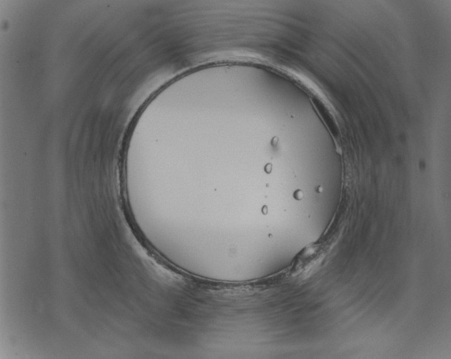 X0000073480999200608211620