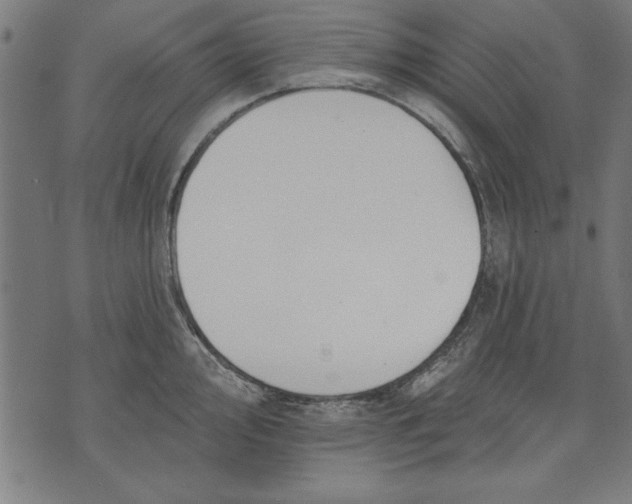 X0000073481000200608211620