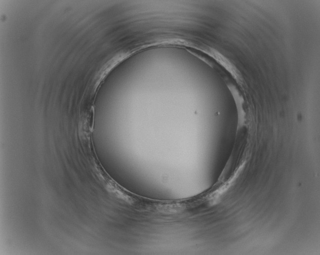 X0000073481001200608211620