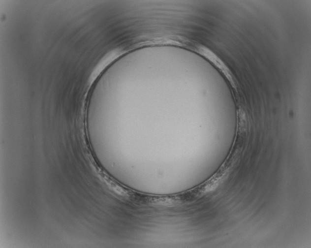 X0000073481002200608211620