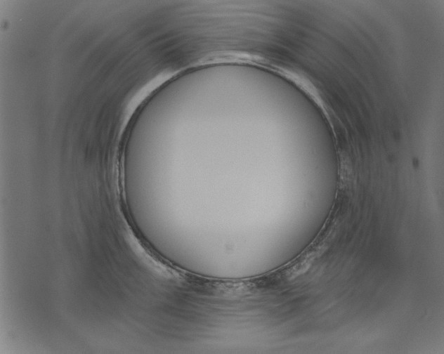 X0000073481003200608211620