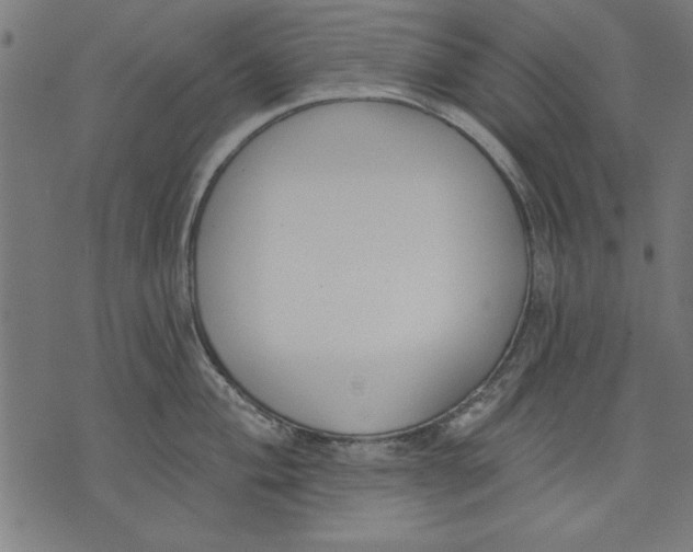 X0000073481004200608211620