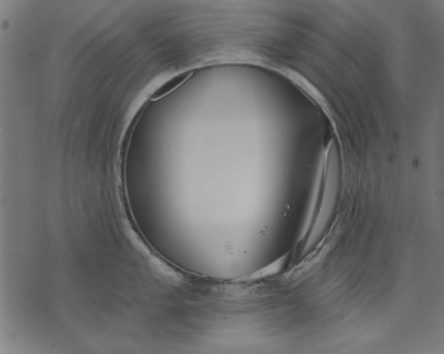 X0000073481005200608211620